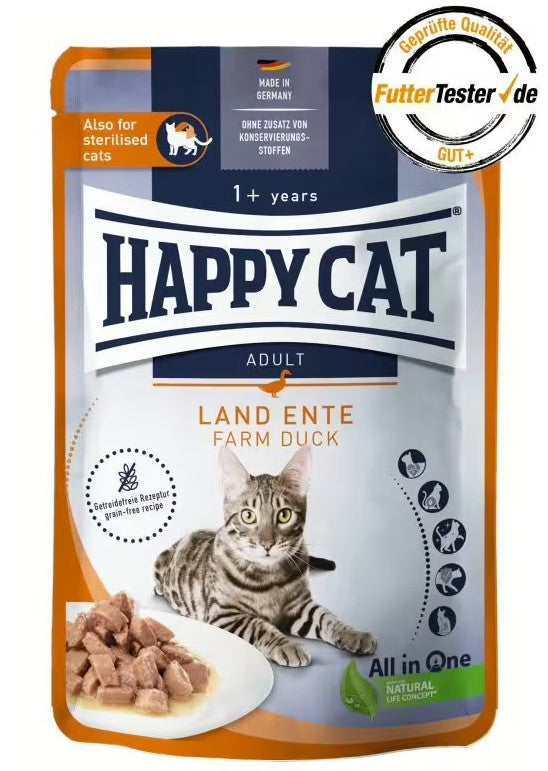 Meat in Sauce - Culinary Land-Ente